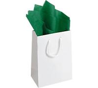 RAJA Tissue Paper Green 500 mm (W) x 0.75 m (L) Pack of 480