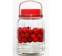 RAJANI 10L Glass Jar with Red Lid Handle Durable Food Storage Easy Pour Multi Purpose Container Kitchen Plastic Utensils Tin Canister