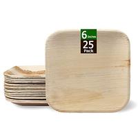 RAJRANG 25 Pcs Disposable Palm Leaf Plates - Organic Wooden Plates Biodegradable and Compostable Natural Eco-Friendly Square Party Plates 15x15 cm