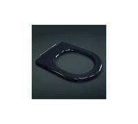 RAK Ceramics RAK-Ceramics Compact Special Needs Seat in Black Finish: Black