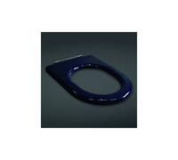 RAK Ceramics RAK-Ceramics Compact Special Needs Seat in Blue Finish: Blue