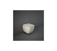 RAK Ceramics RAK-Ceramics Feeling Soft Close Seat Matt Greige Finish: Matt Greige