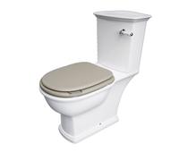 RAK Ceramics RAK-Ceramics Washington Wood Soft Close Seat and Cover, Matt Cappuccino Finish: Matt Cappuccino