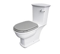 RAK Ceramics RAK-Ceramics Washington Wood Soft Close Seat and Cover, Matt Grey Finish: Matt Grey