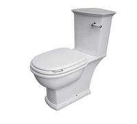 RAK Ceramics RAK-Ceramics Washington Wood Soft Close Seat and Cover, Matt White Finish: Matt White