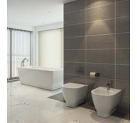 RAK Ceramics Rak Moon Rimless Round Back To Wall Toilet Pan 360mm Alpine White (Pan Only)