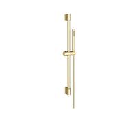RAK Ceramics RAK Single Function Slide Rail Kit Brushed Gold Finish: Brushed Gold