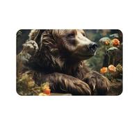 RAKFURF Rugs Machine Washable With Non Slip Backing Bear Animal Longing Printed Vintage Home Decor Floor Decoration Carpet Mat For Living Room Bedroom Bathroom Kitchen 80x49cm