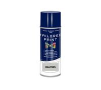 RAL7035 Light Grey Gloss Enamel Aerosol Paint Can Paint RAL Colour Code For Wood, Metal, Plastic, PVC, UPVC, Fascia Boards - Indoor & Outdoor