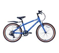 Raleigh Pop 20 Kids Bike - Blue
