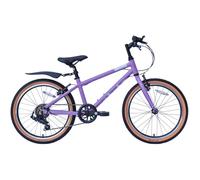 Raleigh Pop 20 Kids Bike - Purple