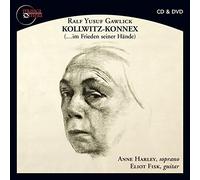 Ralf Yusuf Gawlick: Kollwitz-Konnex