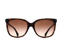 Sunglasses RALPH LAUREN Woman color Brown - Size: 55 - female