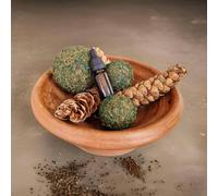 Ralph’s Orchard Natural Pine Cone & Moss Ball Potpourri with Scent Dropper - Enchanted Forest