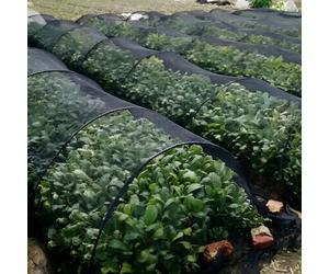 Ram® 2 x New Garden Net Grow Plant Vegetable Tunnel Protector From Birds, Nests, Pests, Vegetable Grow Tunnel
