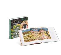 Ramayana illustré par les miniatures indiennes du XVIe au XIXe siècle - Édition abrégée
