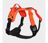 Ramble Harness - Black/Orange, Black/Orange S