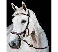 Rambo Micklem 2 Multi Bridle