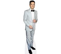 Rami Malek (Grey Suit) Life Size Cutout