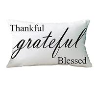Ramirar Black Word Art Thankful Grateful Blessed Decorative Soft White Velvet Lumbar Throw Pillow Cover Case Cushion Home Living Room Bed Sofa Car Rectangular 12 x 20 Inches