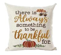 Ramirar Brown Word Art There is Always Something to Be Thankful for Decorative Throw Pillow Cover Case Home Living Room Bed Sofa Car Cotton Linen Square 18 x 18 Inches