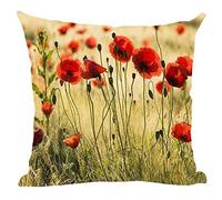 ramirar Hand Painted Ink Oil Painting Watercolor Red Poppy Flowers Retro Yellow Background Decorative Throw Pillow Cover Case Cushion Home Living Room Bed Sofa Car Cotton Linen Square 18 x 18 Inches
