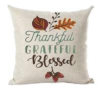 ramirar Hand Painted Ink Painting Watercolor Word Thankful Grateful Blessed Brown Maple Leaves Decorative Throw Pillow Cover Case Cushion Home Living Room Bed Sofa Car Cotton Linen Square 18 x 18 Inch