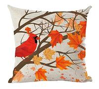 ramirar Hand Painted Watercolor Orange Maple Tree Branch Leaves Bird Happy Autumn Fall Y'all Decorative Throw Pillow Cover Case Cushion Home Living Room Bed Sofa Car Cotton Linen Square 18 x 18 Inches