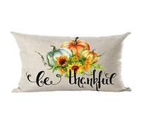 Ramirar Ink Oil Painting Watercolor Pumpkin Be Thankful Autumn Decorative Lumbar Throw Pillow Cover Case Home Living Room Bed Sofa Car Cotton Linen Rectangular 12 x 20 Inches