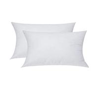ramirar Set of 2 Vacuum Packaged Premium Hypoallergenic Stuffer Pillow Insert Inner Core Interior Polyester Rectangular Lumbar Fit with 12 x 20 Inches' Throw Pillow Cover