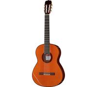 Ramirez Estudio Flamenco Palosanto