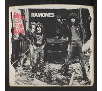 RAMONES - sheena is a punk rocker / mono 45 rpm single