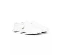 Crosshatch Men Trainers Slip On Canvas Plimsolls Pumps Casual Flat Gym Shoe (White Mono, 9)