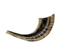 Ram's Horn Shofar Kosher Mini 10" Polished Black / Dark