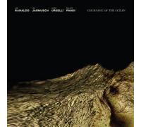RANALDO/JARMUSCH/URSELLI/PANDI - CHURNING OF THE OCEAN (LTD CLEAR) VINYL LP NEW