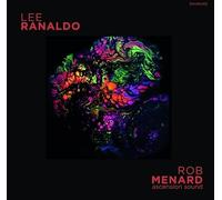 Ranaldo, Lee / Menard, Rob - Split [CASSETTE]