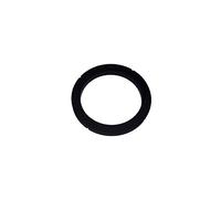 Rancilio Silvia Group Head Gasket - Genuine OEM Part by Rancilio