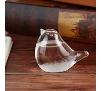 Rancross Storm Glass Weather Forecaster Weather Station Liquid Barometer Weather Predictor Fashion Creative Office Desktop and Home Decorative Weather Glass for Home & Office Durable and Useful