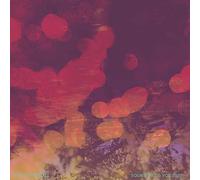 Randall,Randy - Sound Field, Vol. 2020 [VINYL]