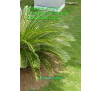 Random Acts of Kindness: A Chicken Soup Collection