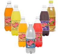 Random Mixed Orange, Cream Soda, Jamaica Kola, Pineapple, Grape & Fruit Punch Flavour Soft Drink 600ml - Bga (12 x Bottles, Random Mixed Soft Drink)