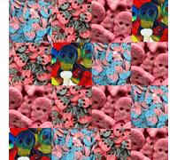 Random Mixed Variety of Vegan Skulls Sweets - Fizzy Bubblegum,Large Liquorice & Raspberry,Fizzy Red,Jelly Skulls Sweets (250g)