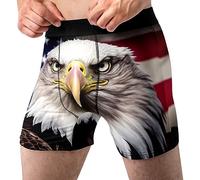 Random Stock Apparel Funny Boxer Briefs For Men Blast Zone Underwear Fun Novelty Gift, American Bald Eagle, S
