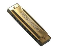 Randon Golden Harmonica Key of C with Case, 10 Holes 20 Tones Diatonic Harmonicas Mouth Organ, Blues Harmonica for Adults/Kids/Professional Players/Beginners, Vintage Style Harmonica, as a Gift