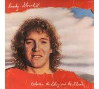 Randy Stonehill - between the glory and the flame LP