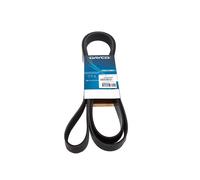 DAYCO 8PK2512 Serpentine belt
