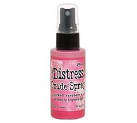 Ranger Distress Oxide Spray Picked Raspberry, 2 Female oz
