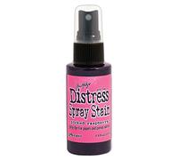 Ranger Distress Spray Stain 1.9oz-Picked Raspberry,