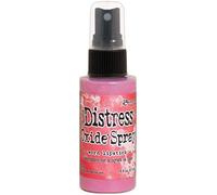 Ranger Tim Holtz-Distress Oxide Spray-Worn Lipstick, 57 ml