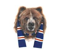 Rangers FC Bear & Scarf A3 A4 Print Poster Wall Art Home Decor Album Gift Present Photo Living Room Dining Room Bedroom Hall Loft Office Unframed Glasgow (A4)